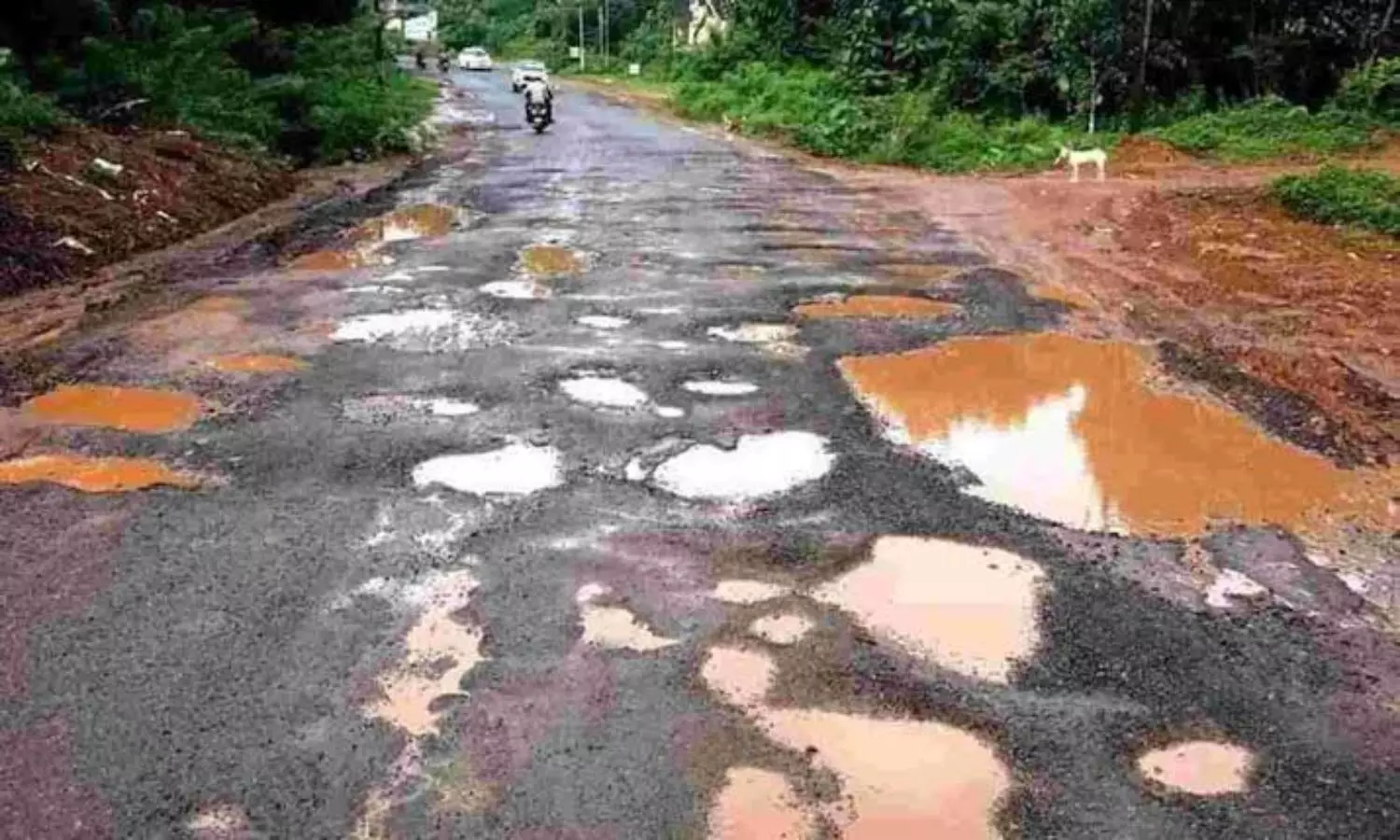 Kerala HC orders highway authority to fill potholes in state within one week