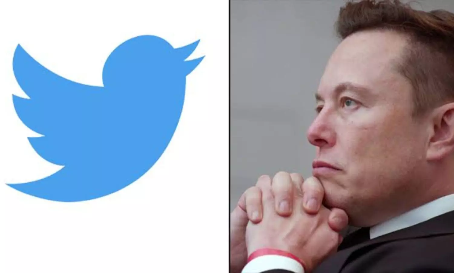 Elon Musk seeks to question Twitter employees who count bots, spam accounts