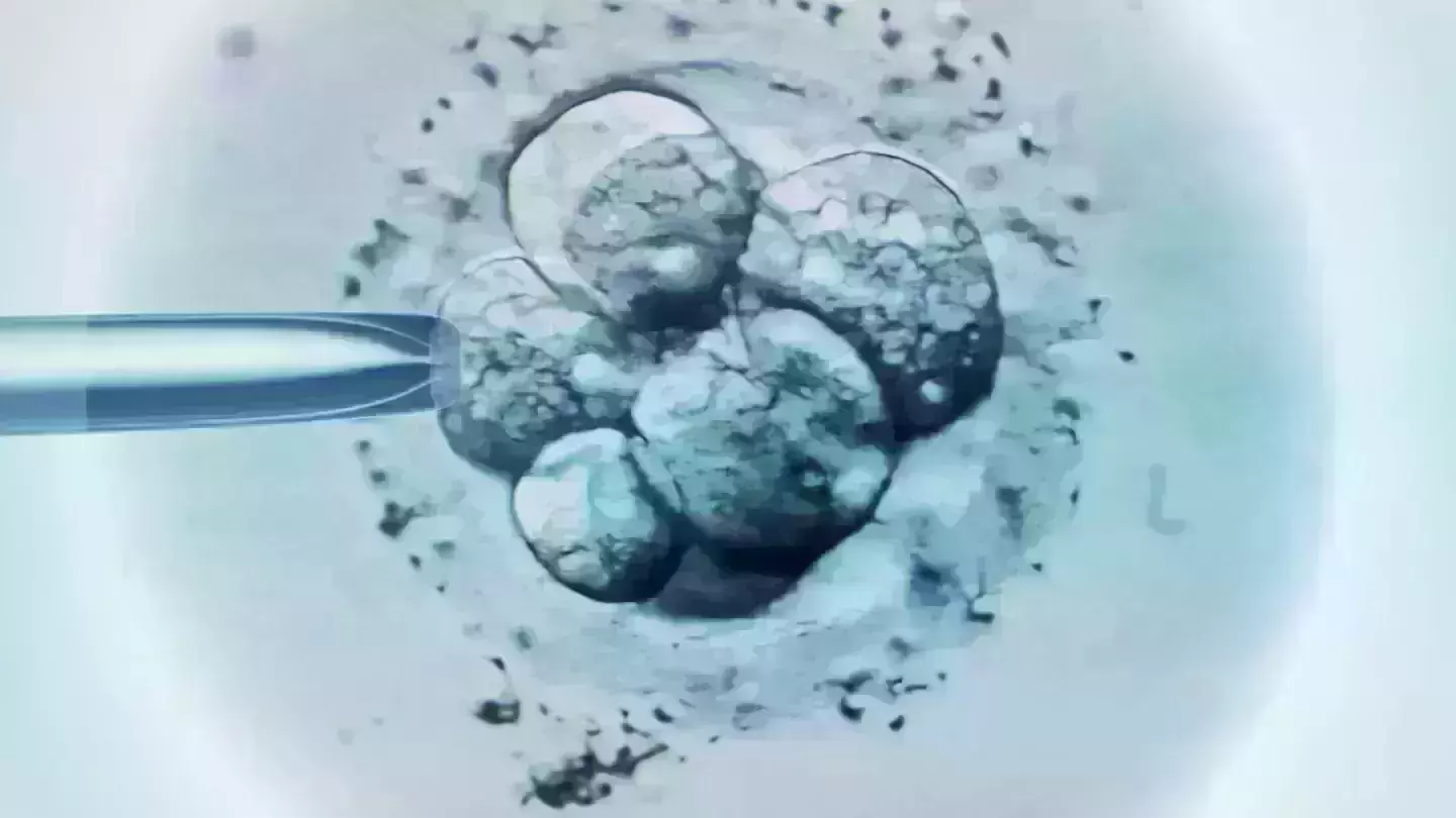 Scientists create first ever synthetic embryo, Calls for ethical concerns