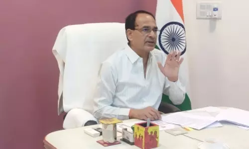 Will make Hedgewars memories permanent: MP CM