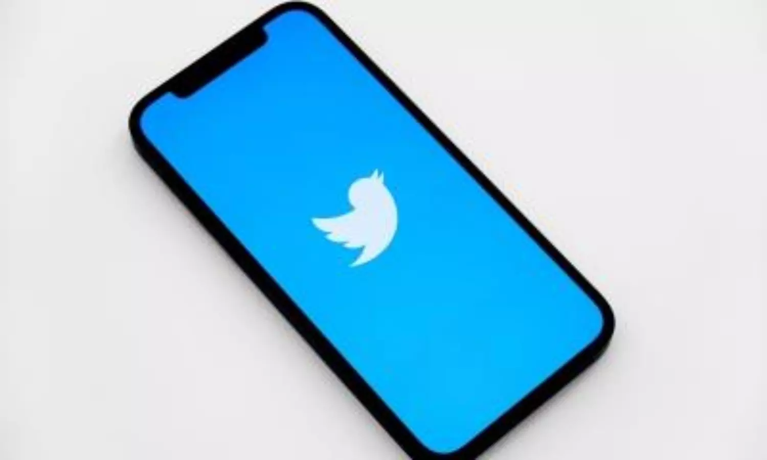 50% annual bonus only for employees: Twitter