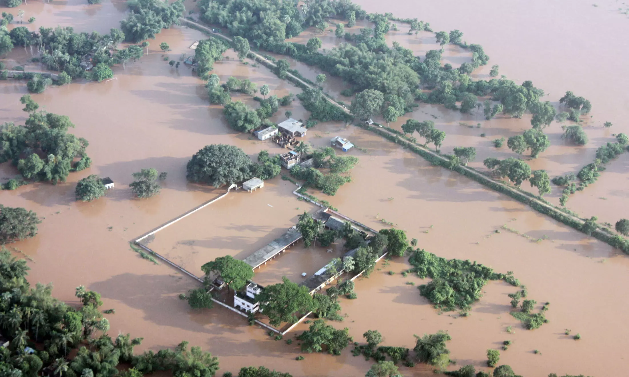 Odisha: 14,000 plus houses destroyed in rains and floods