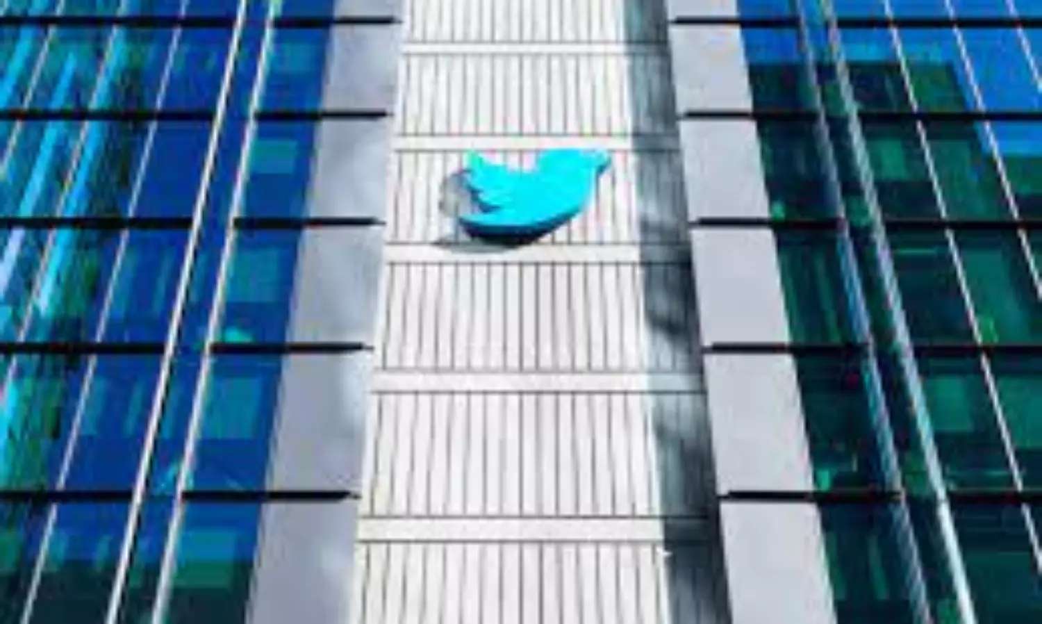 Twitter is not motivated to fully understand the number of bots: Former security head