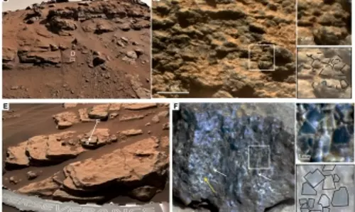 NASAs rover discovers that Mars too had a dark green landscape