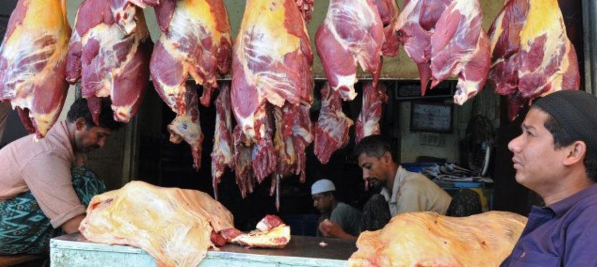 Closure of slaughterhouse for Jain festival: Gujarat HC asks petitioner to refrain from eating Closure of slaughterhouse for Jain festival: Gujarat HC asks petitioner to refrain from eating