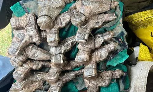 Punjab police arrests 3 arm suppliers, seize 63 pistols from MP