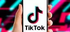 Canada orders dissolution of TikToks Canadian business, but wont block app