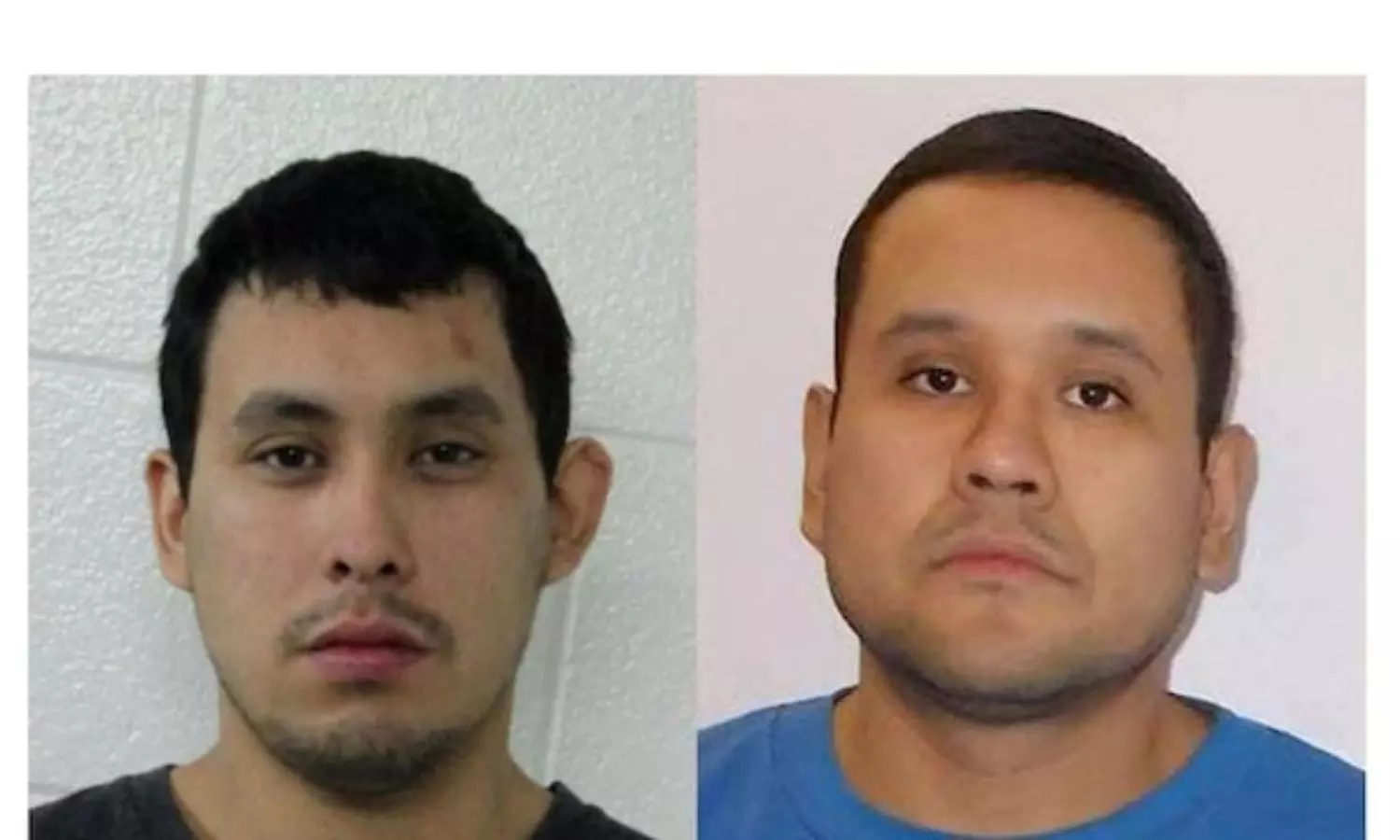 Canada mass stabbing: One suspect found dead, brother still on the run