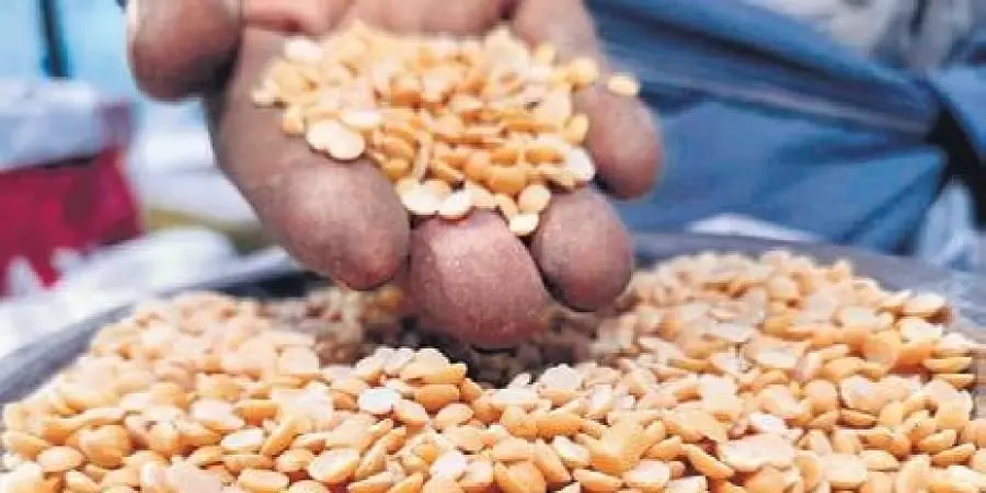 Indias: Food Secretary says rice production to fall by 10-12 million tonnes this year Indias: Food Secretary says rice production to fall by 10-12 million tonnes this year