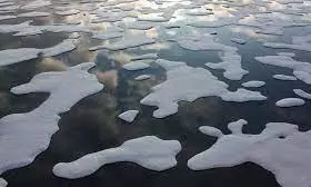 climate change