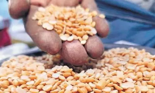 Indias: Food Secretary says rice production to fall by 10-12 million tonnes this year