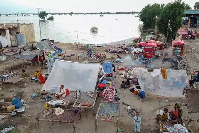 Economic loss due to Pakistan floods rises from $12.5 bn to $18 bn: Report