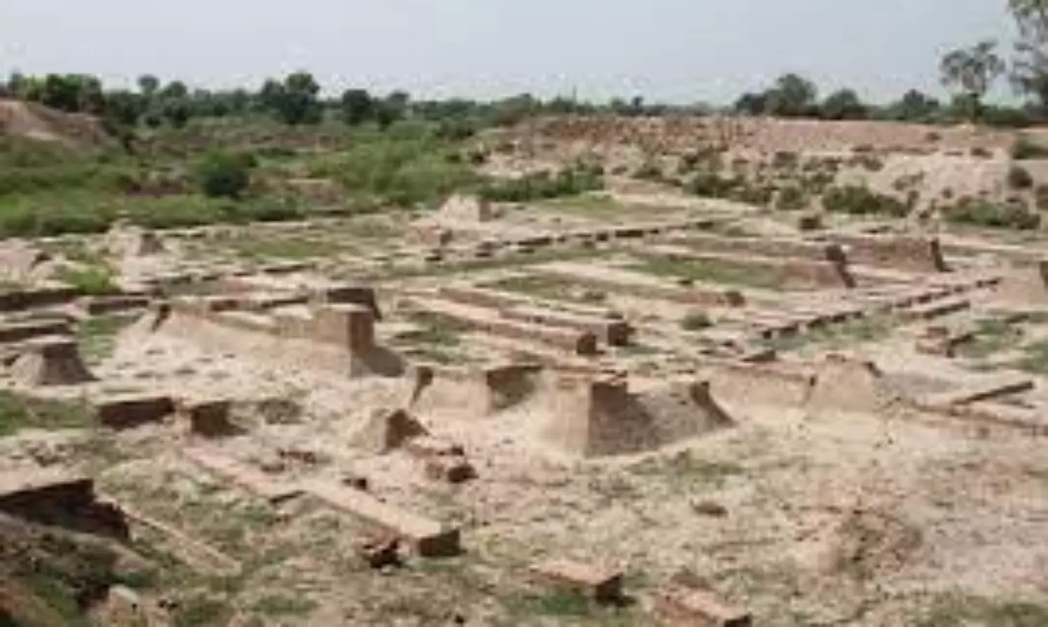 Haryana to open the largest museum of Harappan culture