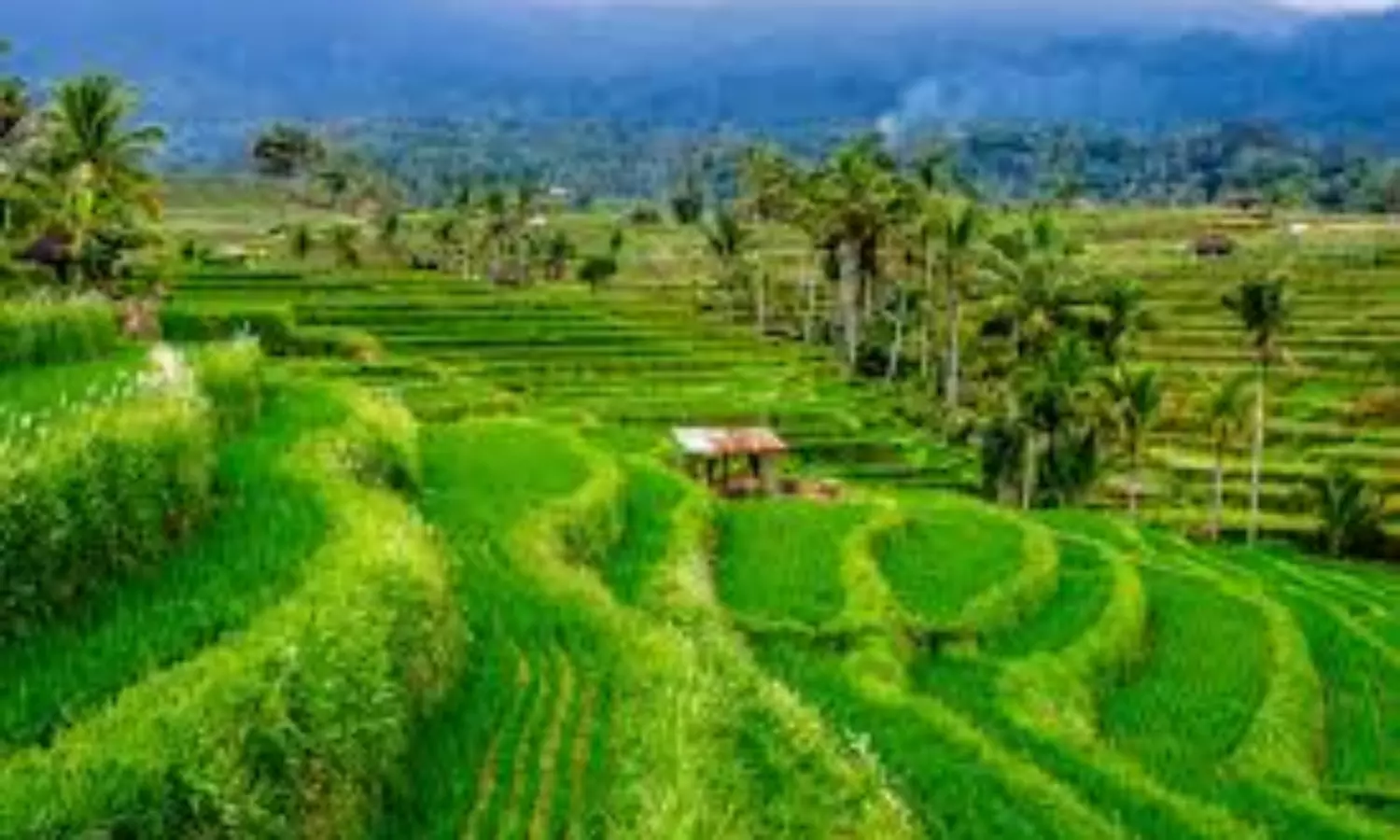 Indonesia aims to attract more digital nomads, Relaxes visa norms