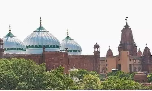 Plea in Mathura court to remove another Mughal-era mosque