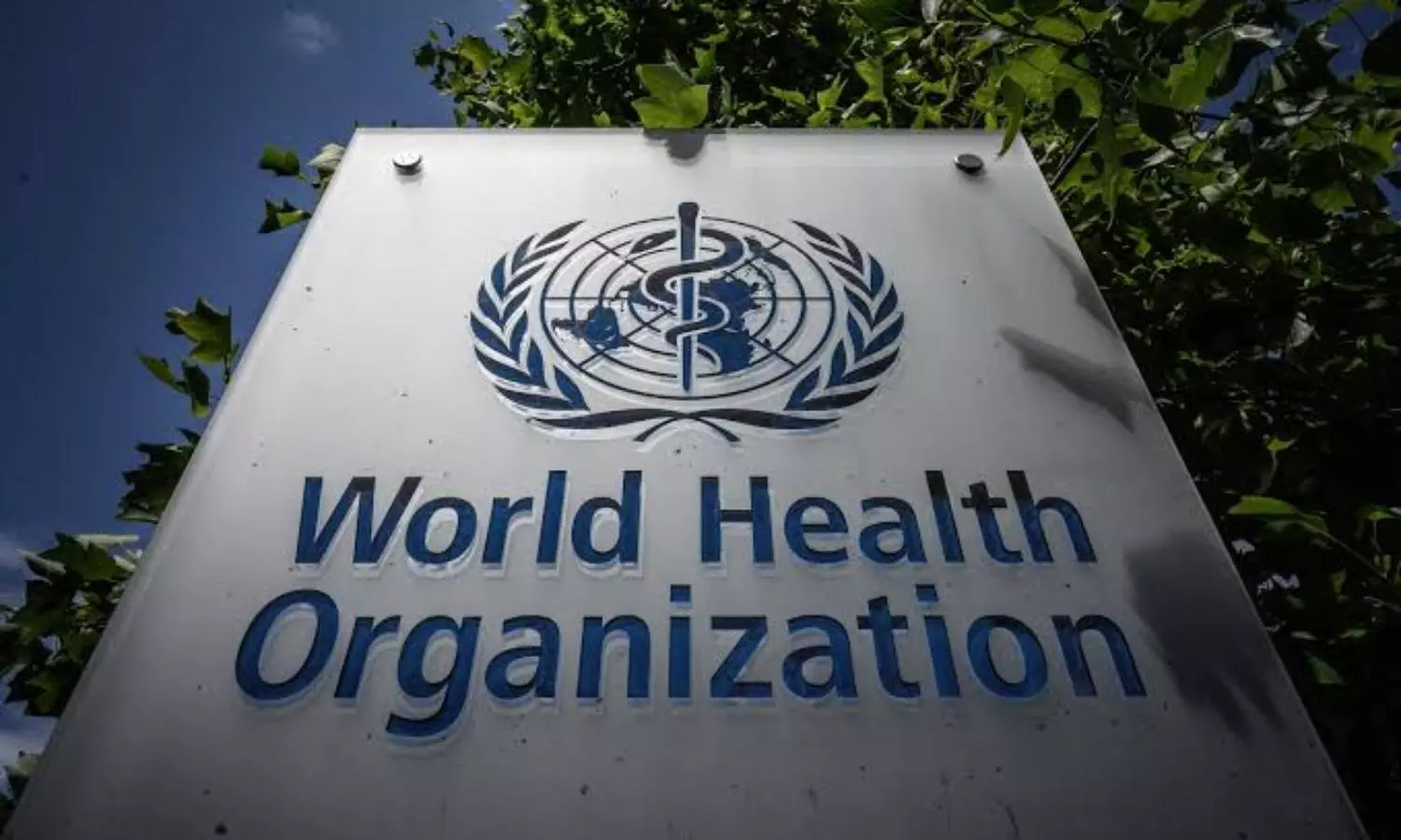 Non-communicable diseases cause 74 percent of global deaths: WHO