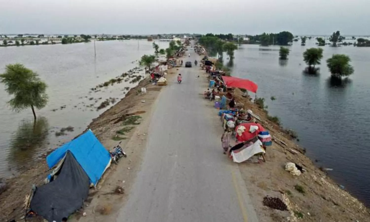 Flood-hit Pakistan should suspend debt repayments, says UN policy paper