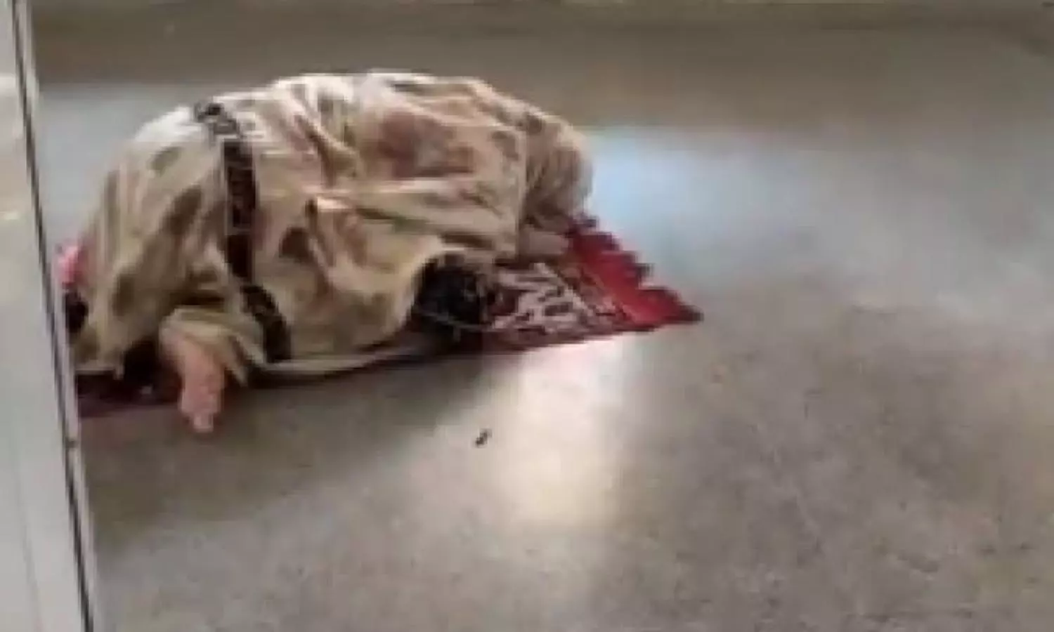 Woman recorded offering namaz inside UP hospital, Police say she did no crime