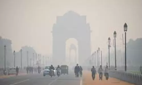 Delhi to launch 15-point action plan against air pollution