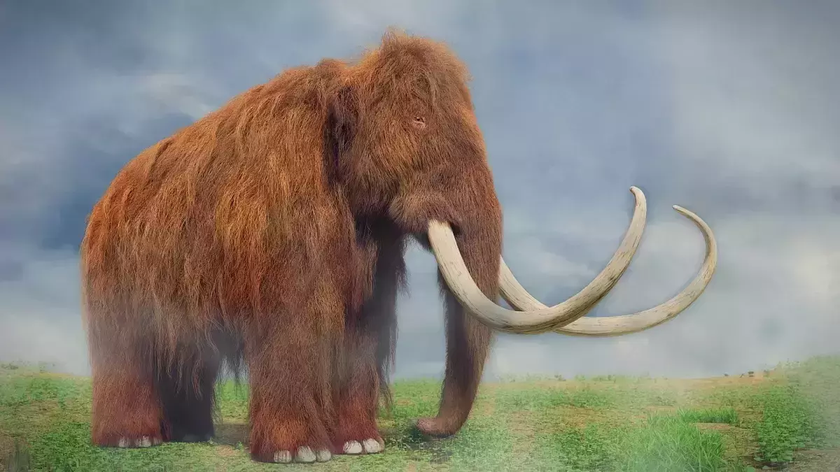 CIA wants to bring back the long gone Woolly Mammoth