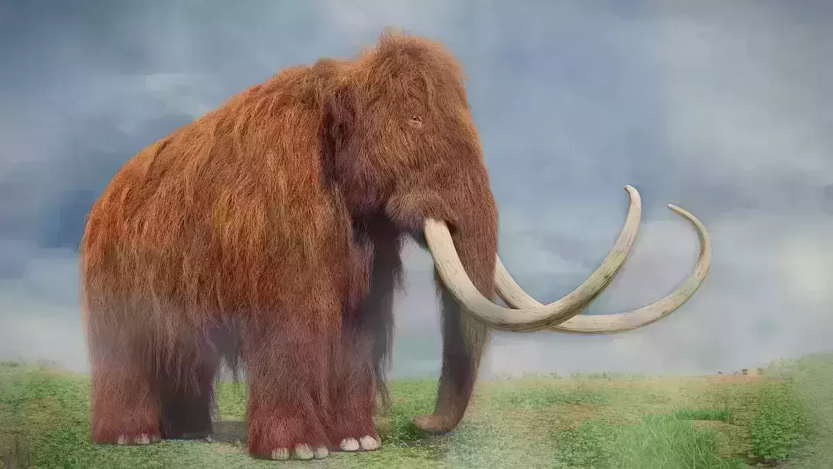 CIA wants to bring back the long gone Woolly Mammoth