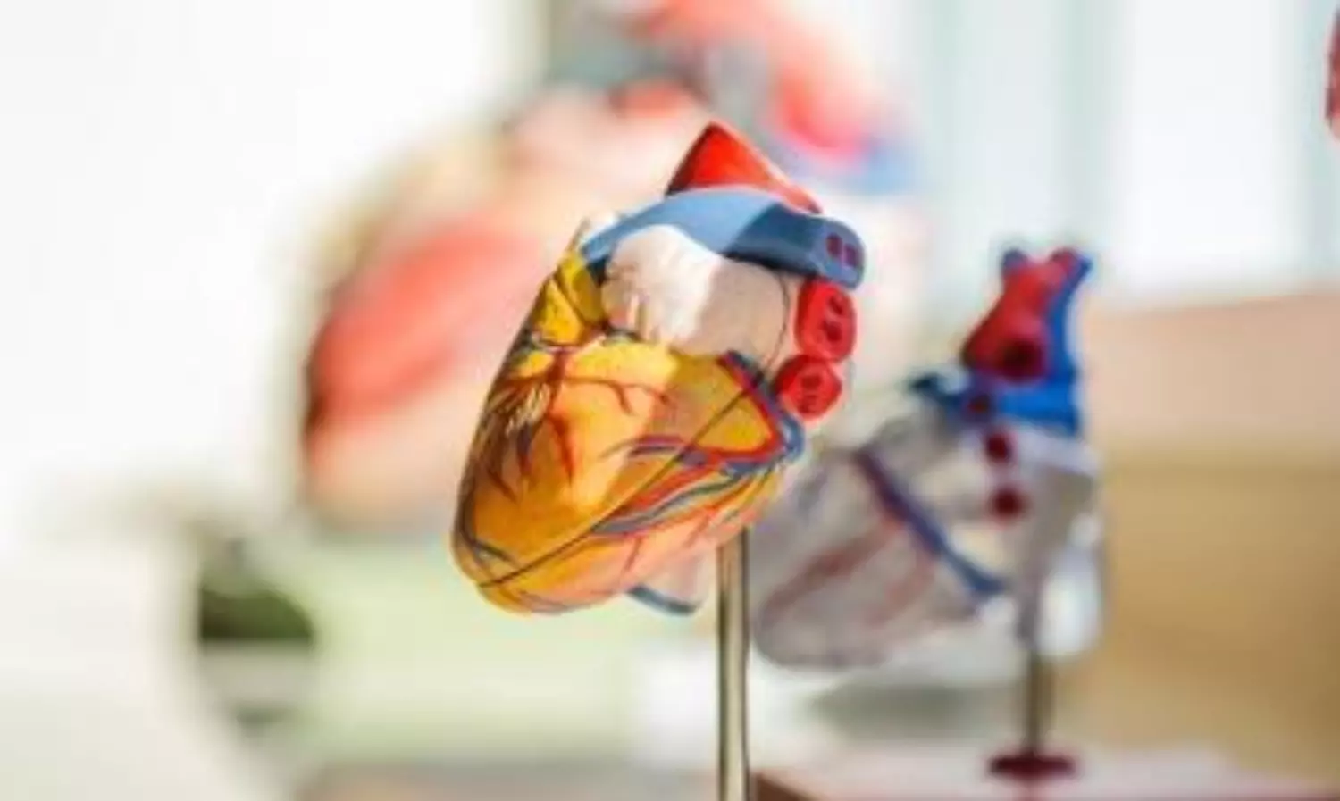 Refined grains consumption heightens coronary artery disease: study