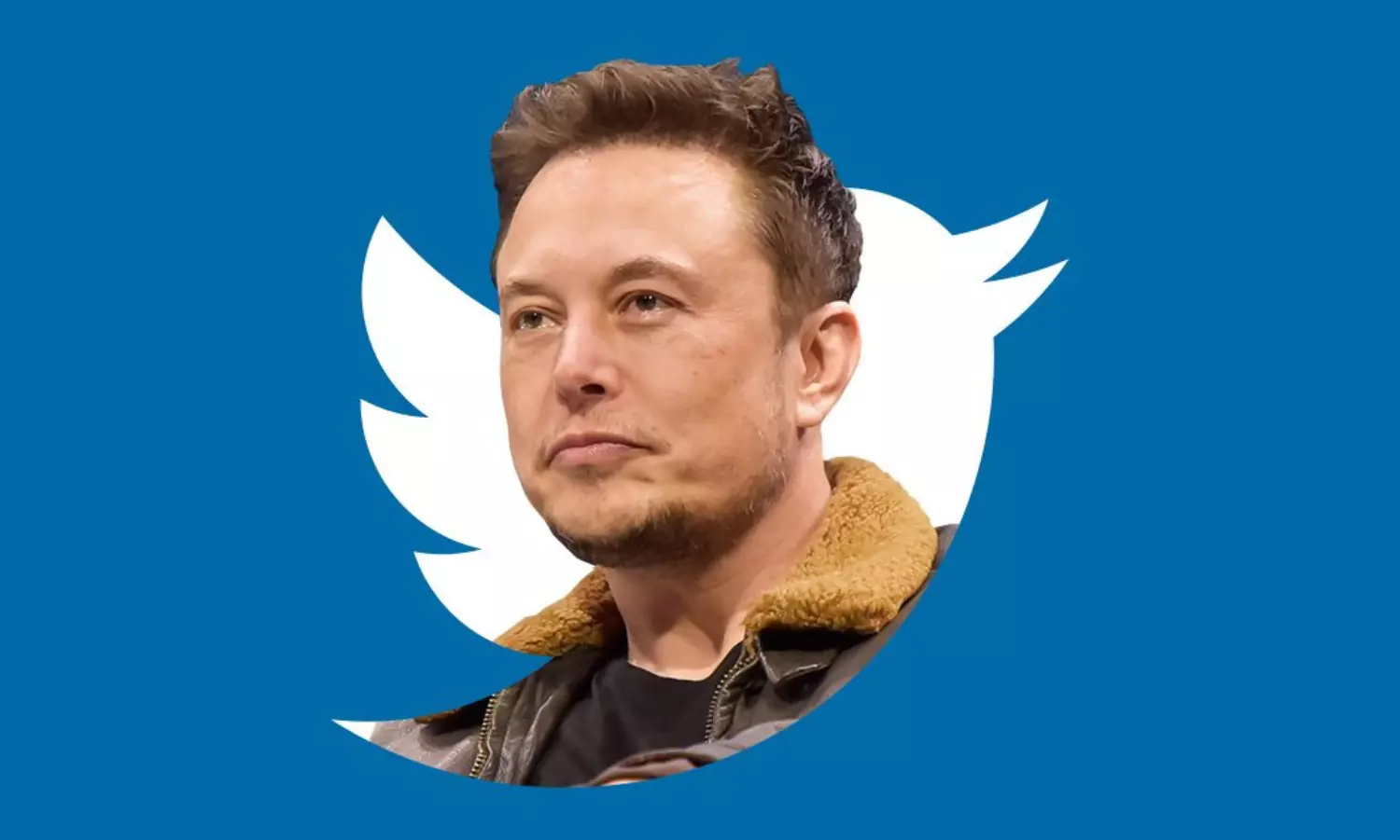 Shonda Rhimes among the celebs quitting Twitter after Elon Musks takeover