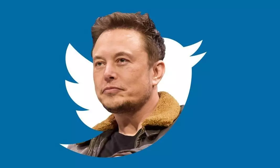 The Musk Factor: Twitters market share grows by 55% amid takeover