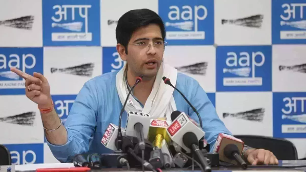 Youngest Rajya Sabha member AAPs Raghav Chadha joins finance panel