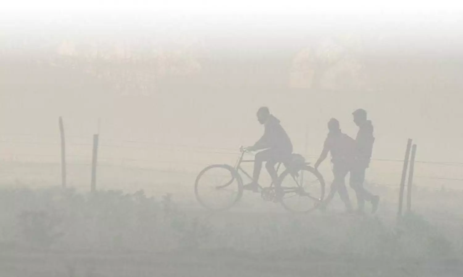 Study shows lungs, livers, brains of unborn babies contain toxic air pollution particles