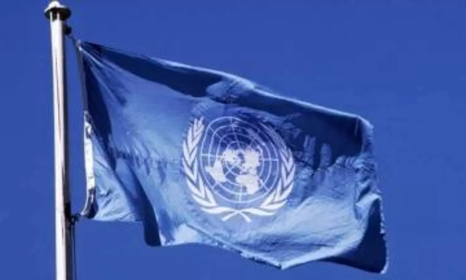 Food insecurity on the rise: Invest in Sustainable food cold chains, says UN