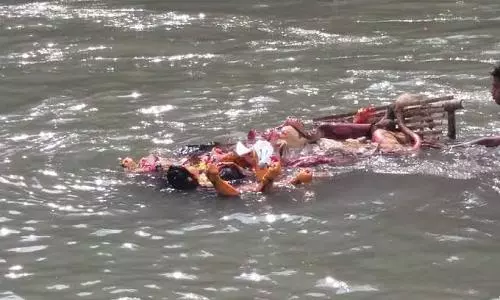 At least 13 deaths reported in three states during Durga idols immersion