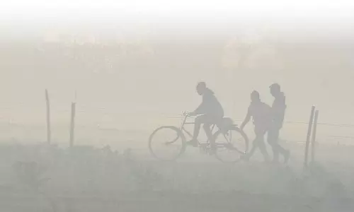 Study shows lungs, livers, brains of unborn babies contain toxic air pollution particles