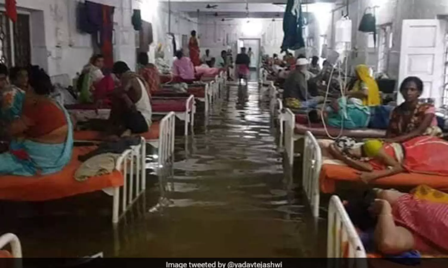 Private hospitals in Bihar turn dengue fever into a money spinner: report