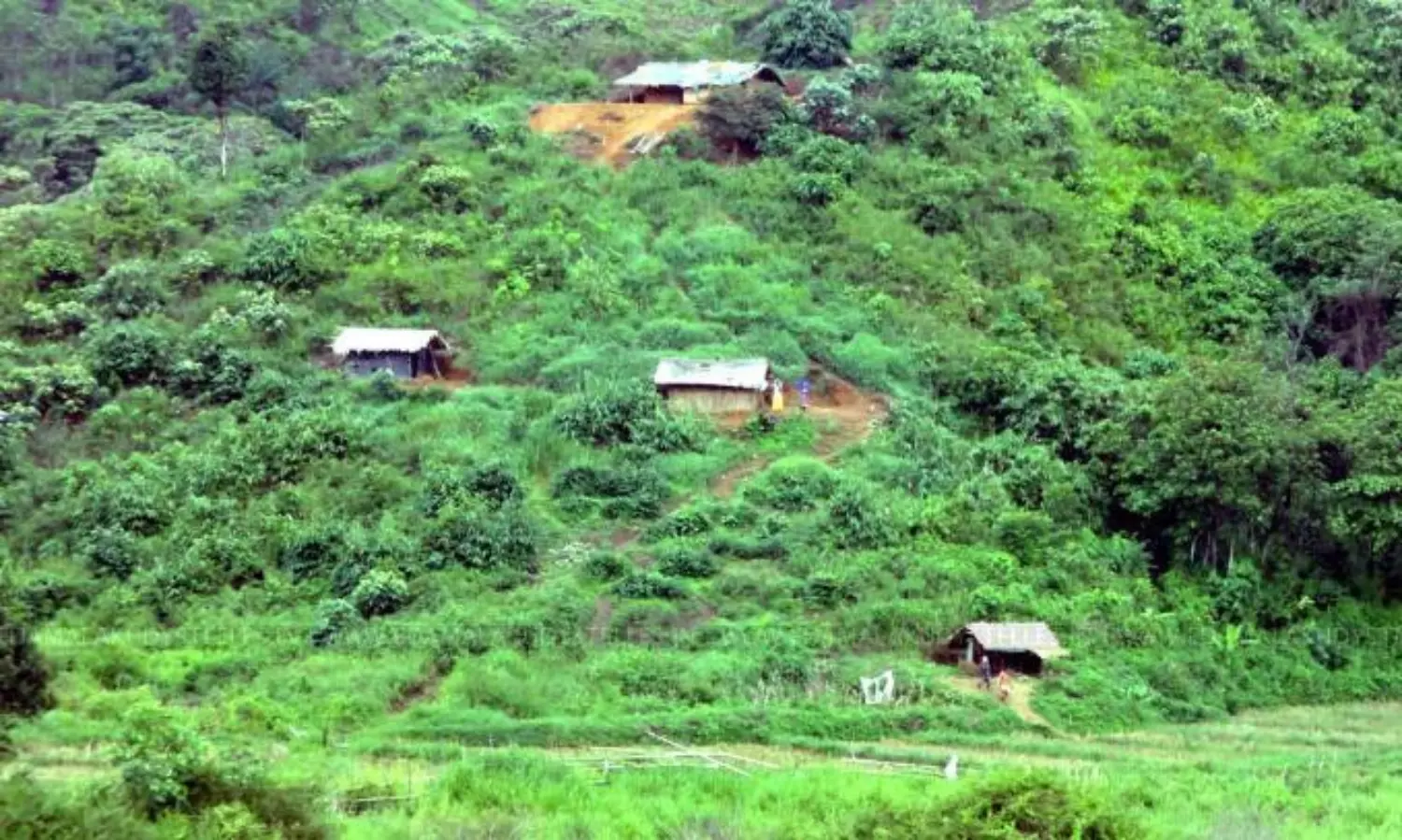 Idukkis Edamalakkudy in Kerala is going to be "connected"