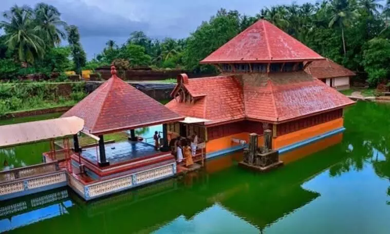 Vegetarian temple crocodile in Kerala dies; was 7 plus decades old