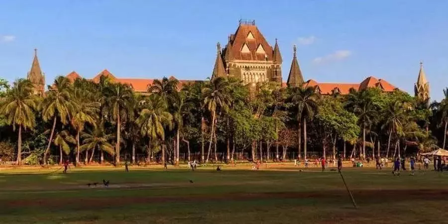 Lawyer fined Rs 25,000 by Bombay HC for submitting offensive photos with plea