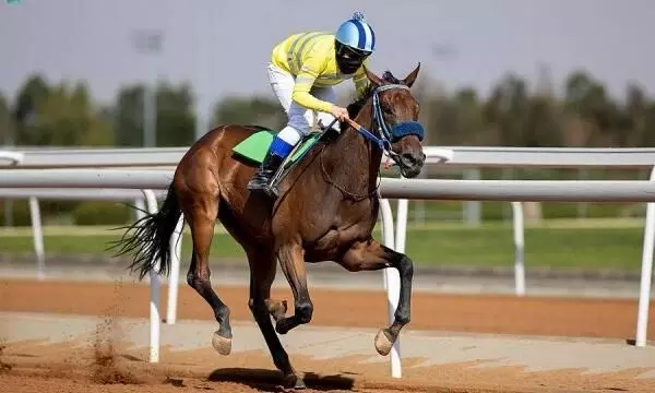 Saudis Amal bint Faisal obtains female jockey license