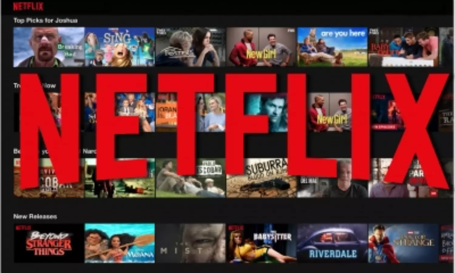 Netflix finally gains 2.4 mn subscribers after poor growth this year