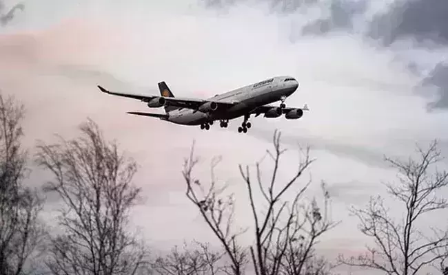 Domestic air traffic grows by 64.61% this year