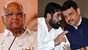 NCPs Pawar to meet CM Shinde, Fadnavis at dinner, sources say not political