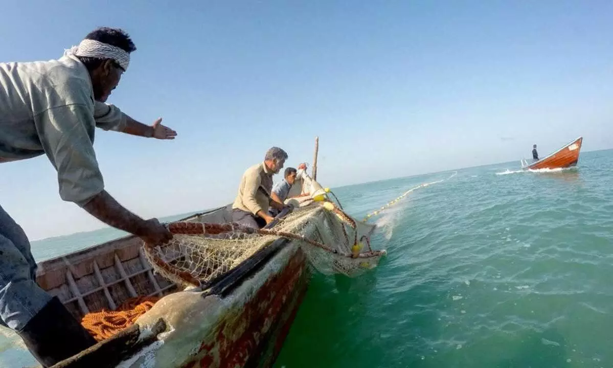 Sri Lankan Navy arrests 11 Tamil Nadu fishermen