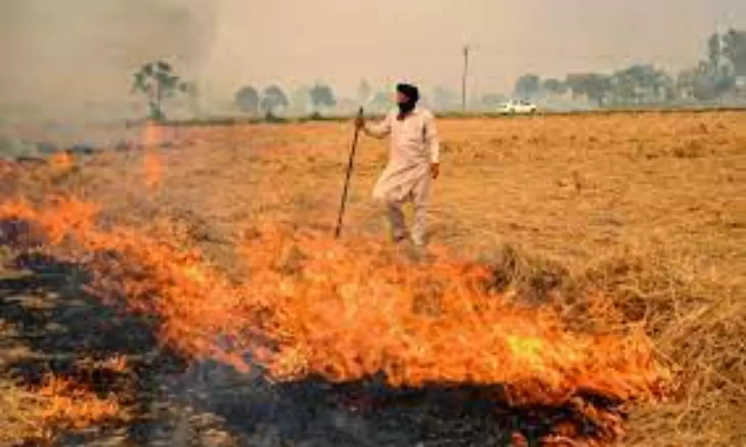 Punjab stubble burning: Sangrur records most fires, Amritsar burnt more area