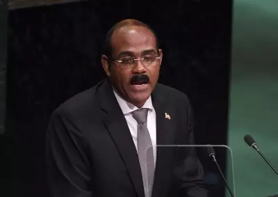 Major polluters India, China must pay for climate fund, say small island nations Major polluters India, China must pay for climate fund, say small island nations