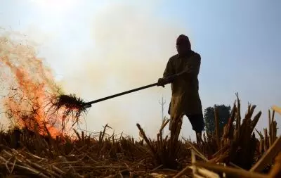 Some matters Courts can look into, some it cant: SC on plea to ban stubble burning