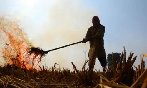 Some matters Courts can look into, some it cant: SC on plea to ban stubble burning