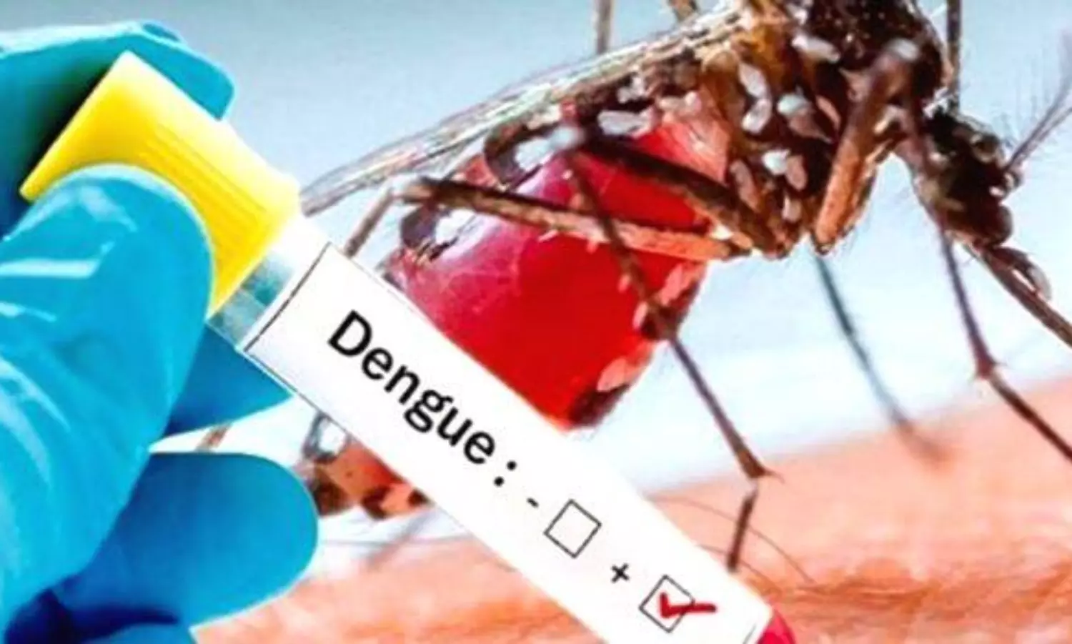 Dengue virus underwent dramatic evolution in India, says new study