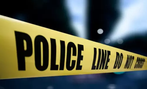 Quarrels over not having a stable job: Delhi man kills all of his family members