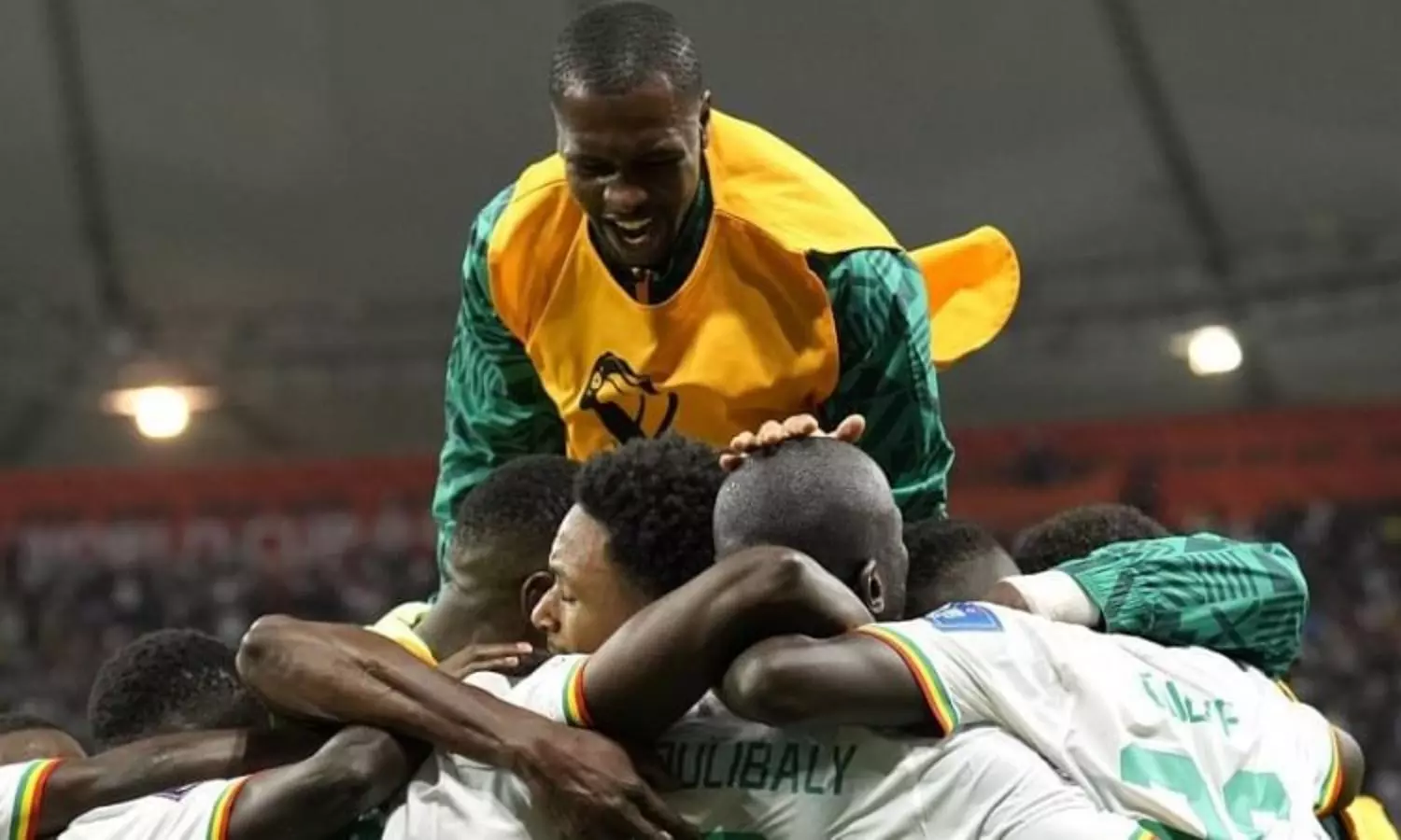 FIFA Group A matches: Senegal, Netherlands advance to knockouts