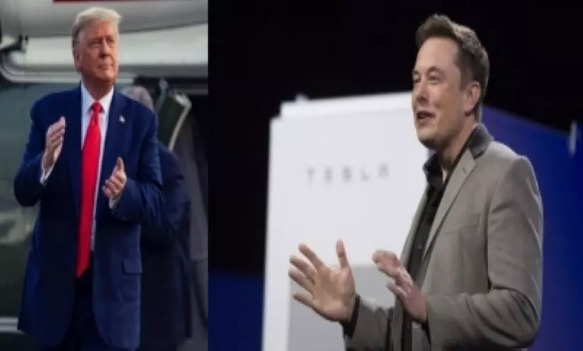 Constitution is greater than any president, Musk slams Trump